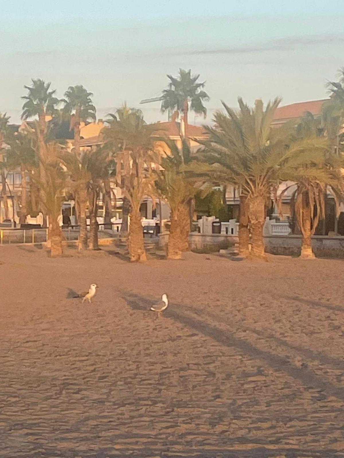 Apartamento Santa Pola, En Playa Del Tamarit Con Piscina. 外观 照片